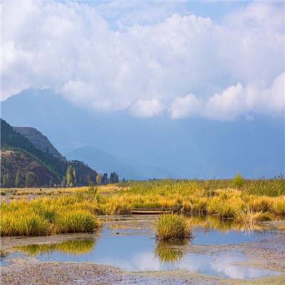 新疆博斯腾湖迎来开湖季 上演“巨网捕鱼”热闹景象